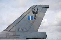 HAF-F16D-Tail-Insignia-081.jpg